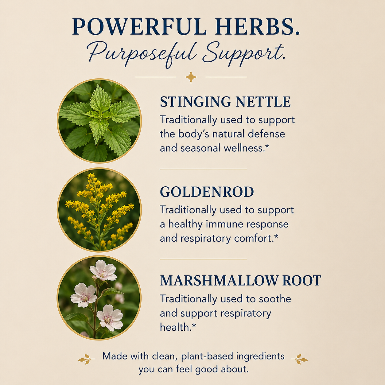 Allergy Armor