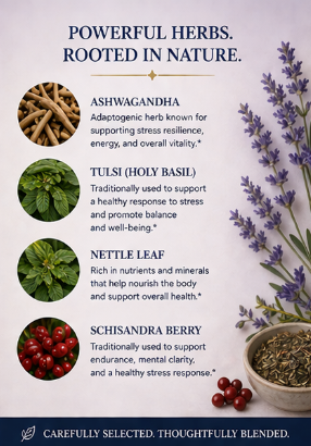 Promotional graphic about powerful herbs rooted in nature with images and descriptions of Ashwagandha, Tulsi, Nettle Leaf, and Schisandra Berry.