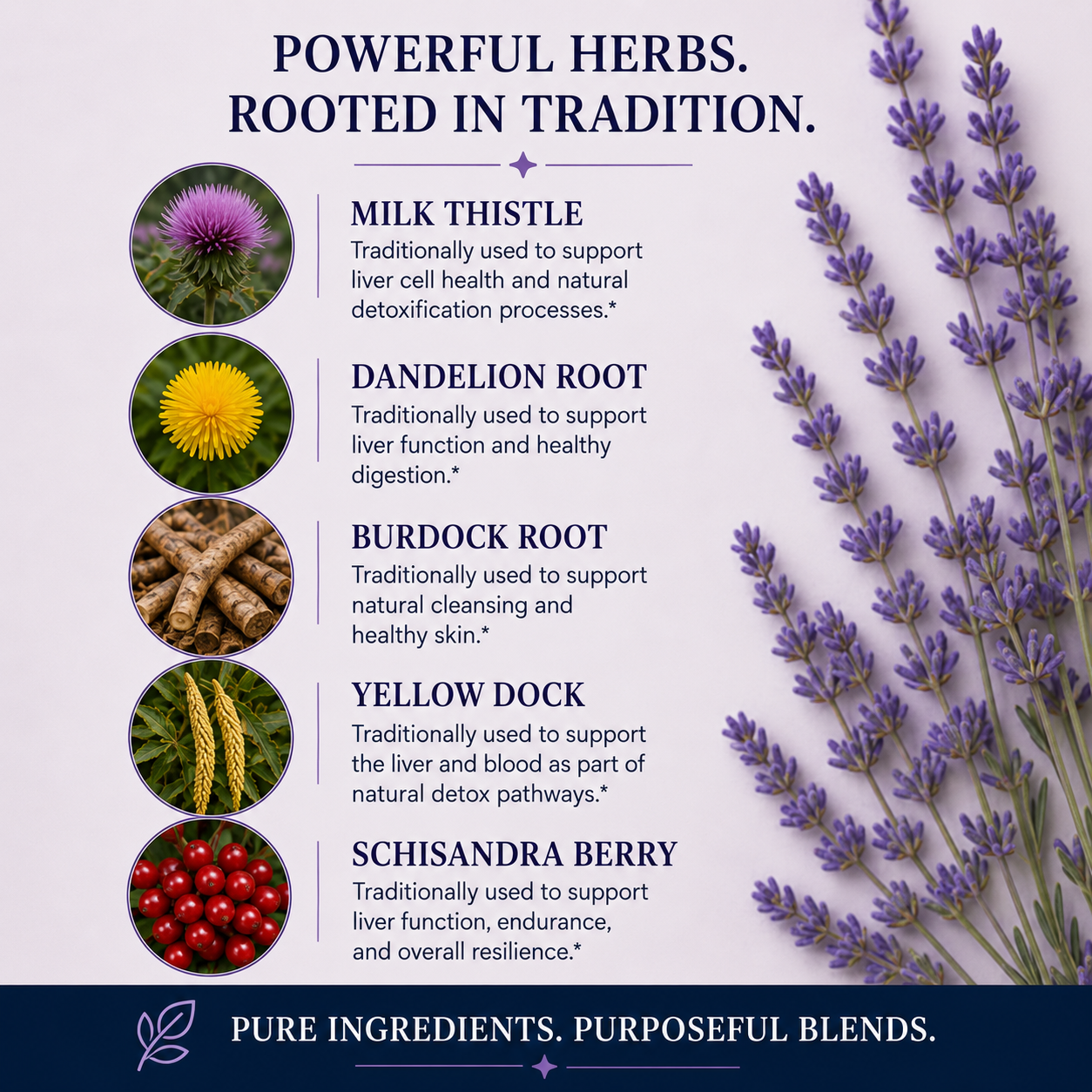 Liver Support