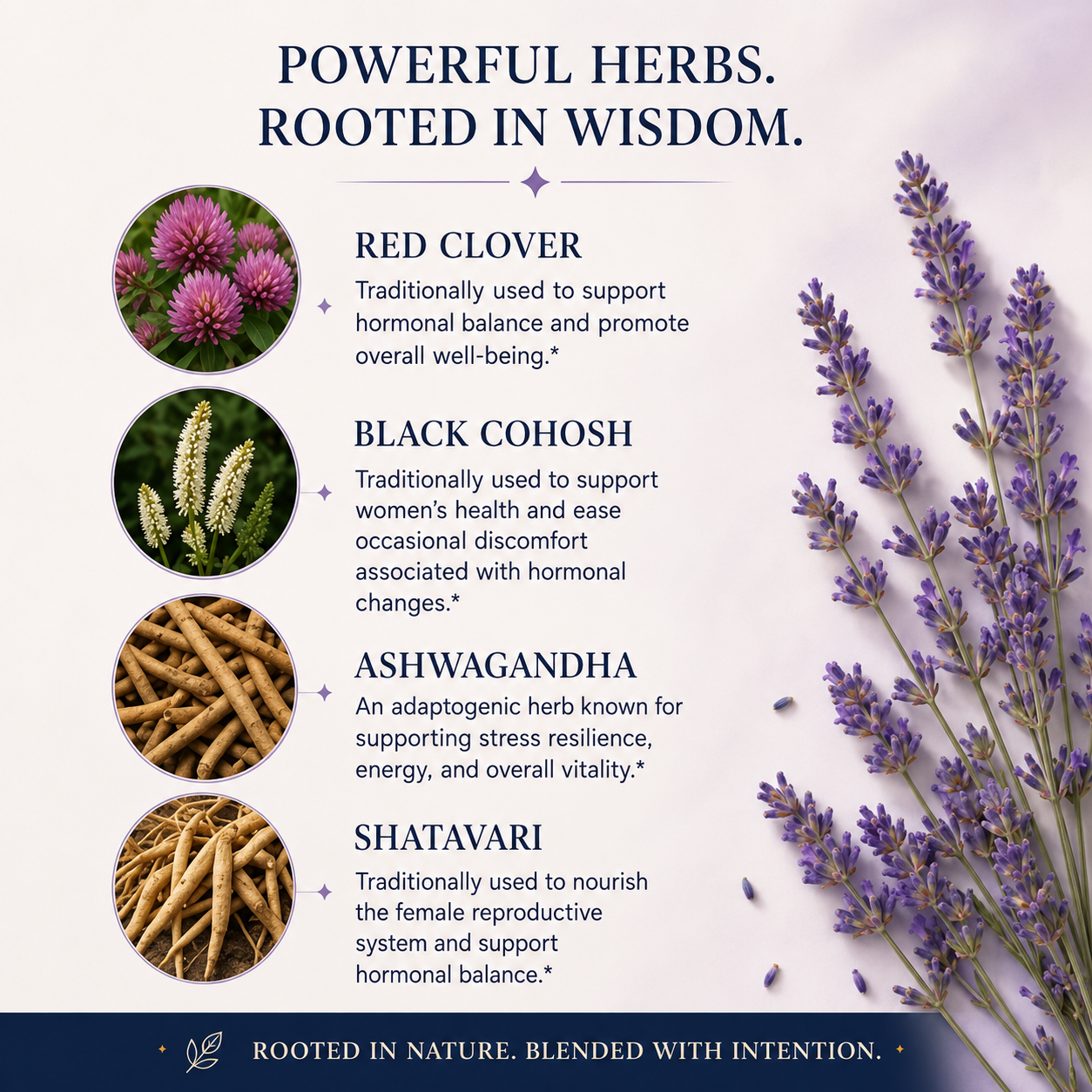Menopause Support