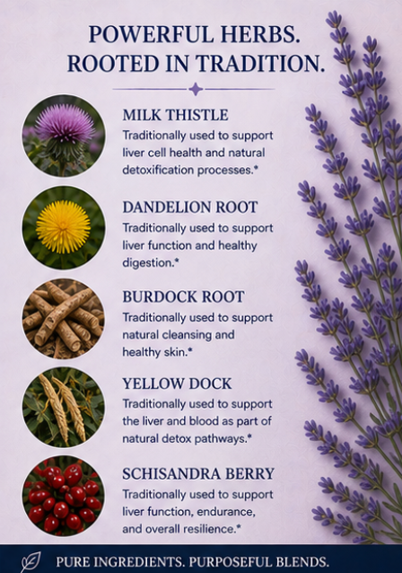 Herbal infographic with images and descriptions of milk thistle, dandelion root, burdock root, yellow dock, and schisandra berry.