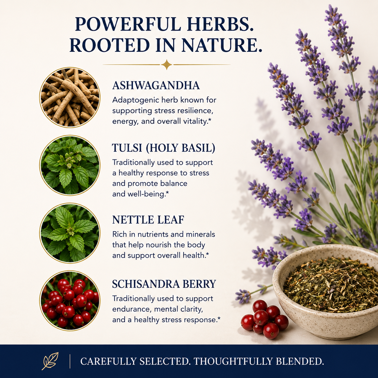 Thyroid Support