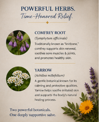 Promotional graphic about powerful herbs with images of comfrey root and yarrow flowers.