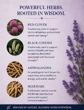 Herbal infographic with images and descriptions of red clover, black cohosh, ashwagandha, and shatavari on a light purple background.